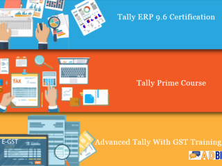 Tally Prime Course in Delhi, 110098, NCR by SLA Accounting Institute, Taxation and Tally Prime Institute in Delhi, Noida, July Offer'24