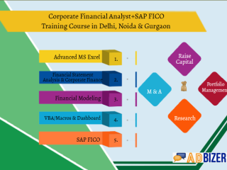 Financial Modelling Course in Delhi.110016. Best Online Live Financial Analyst Training in Ghaziabad by IIT Faculty , [ 100% Job in MNC]