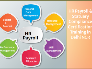 HR Training Institute in Delhi, 110004 with Free SAP HCM HR by SLA Consultants Institute in Delhi [100% Placement, Learn New Skill of '24]